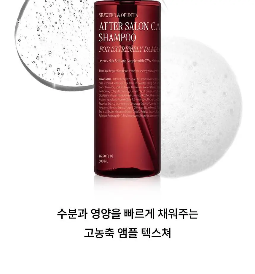 [한정기획] 커리쉴 에프터 살롱 케어 샴푸 500ml기획(+트리트먼트 100ml 증정) 상세페이지 24